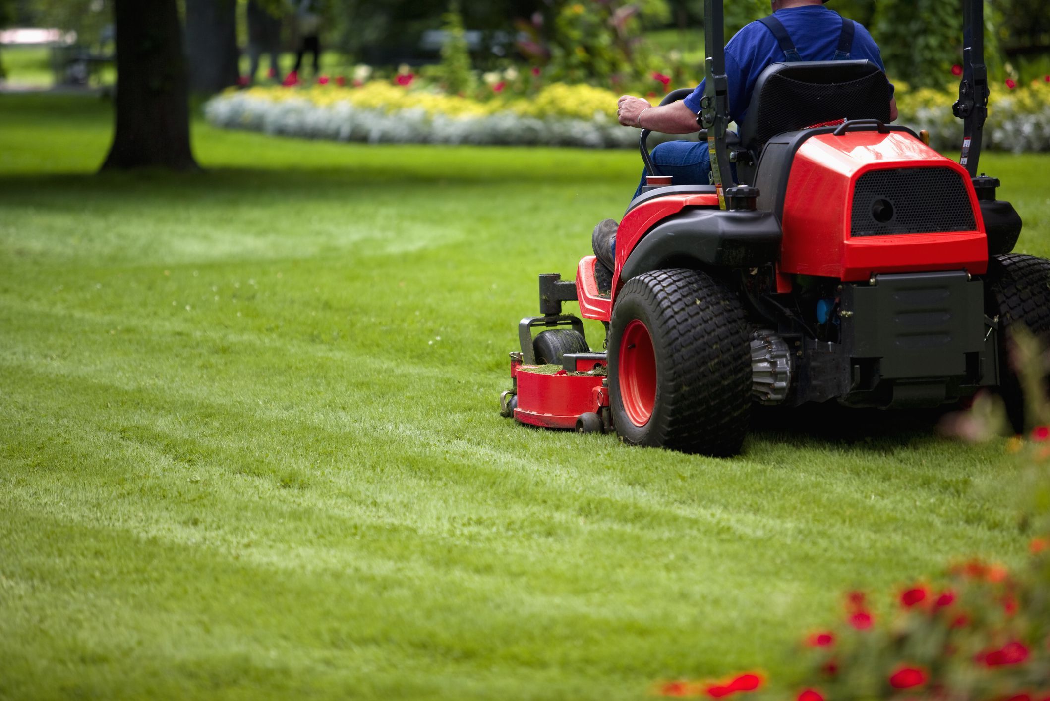 Lawn & Garden Lawn & Garden