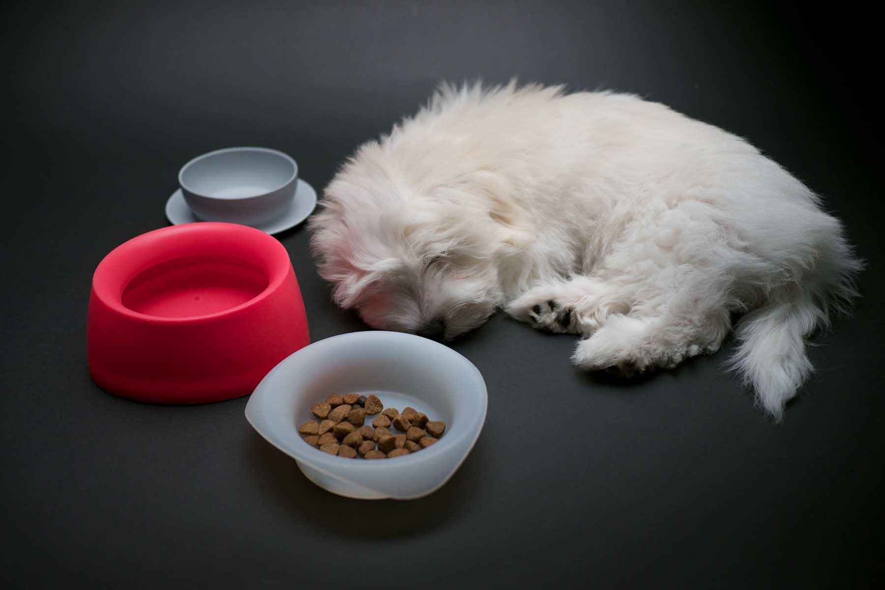 Pet Supplies Pet Supplies