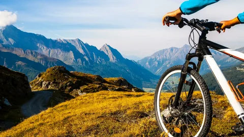 Sports and Outdoors Sports and Outdoors