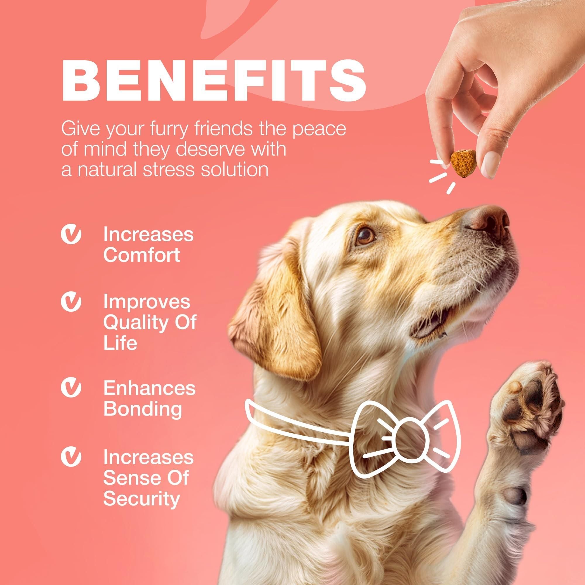 Dog Flea and Tick Treatment Chews FleaTick Prevention for Dogs Chewables Natural Dog Flea & Tick Control Soft Treats Immune Support Supplement