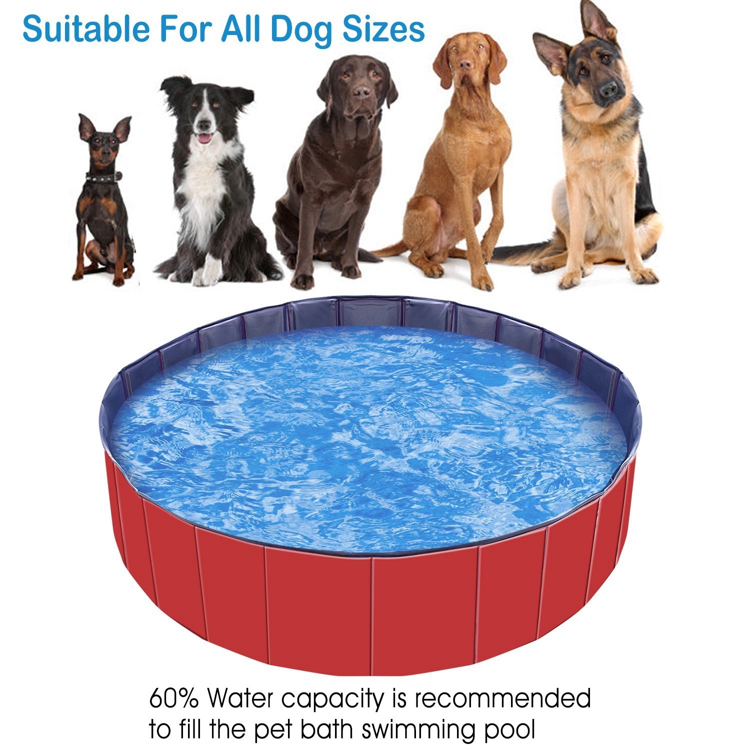 Foldable Pet Swimming Pool Tub