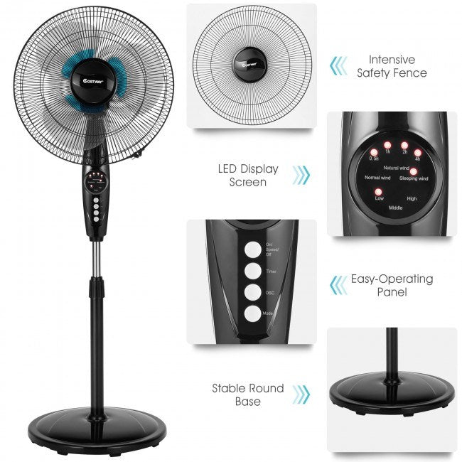 Adjustable Height Fan for Home and Office