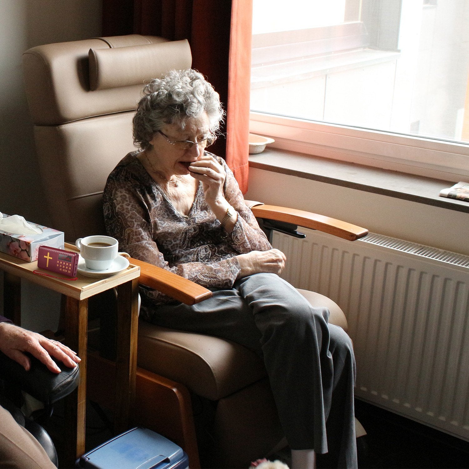 Talking Bible Audio Player English Version