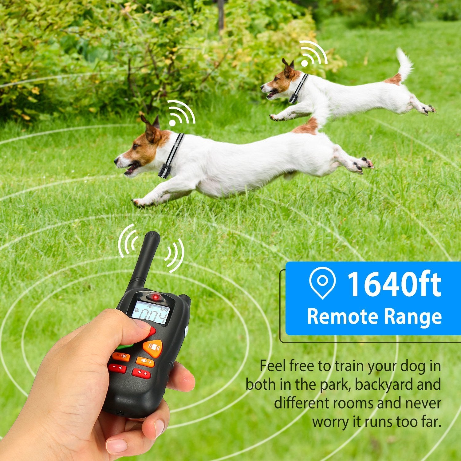 Waterproof Dog Training Collar Remote Control