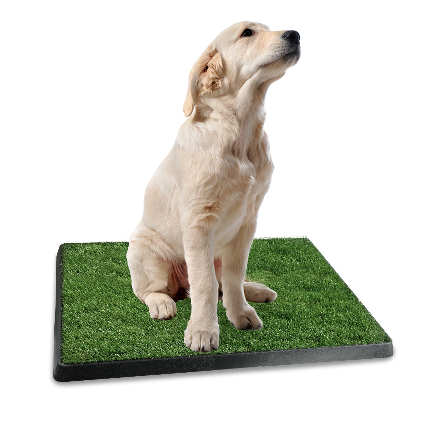 Dog Potty Training Artificial Grass Pad Pet