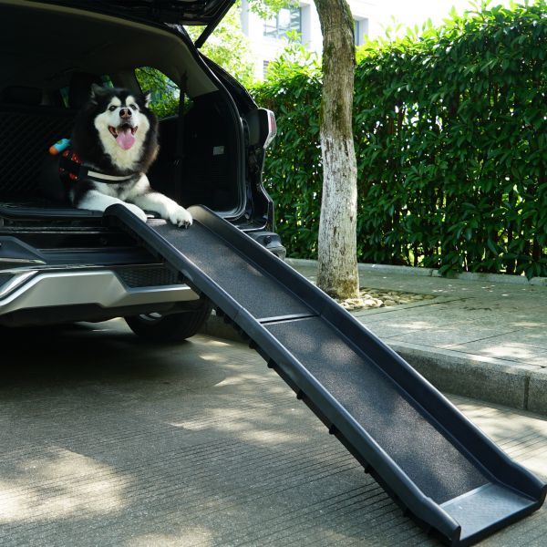Portable Pet Ramp Climbing Ladder Suitable