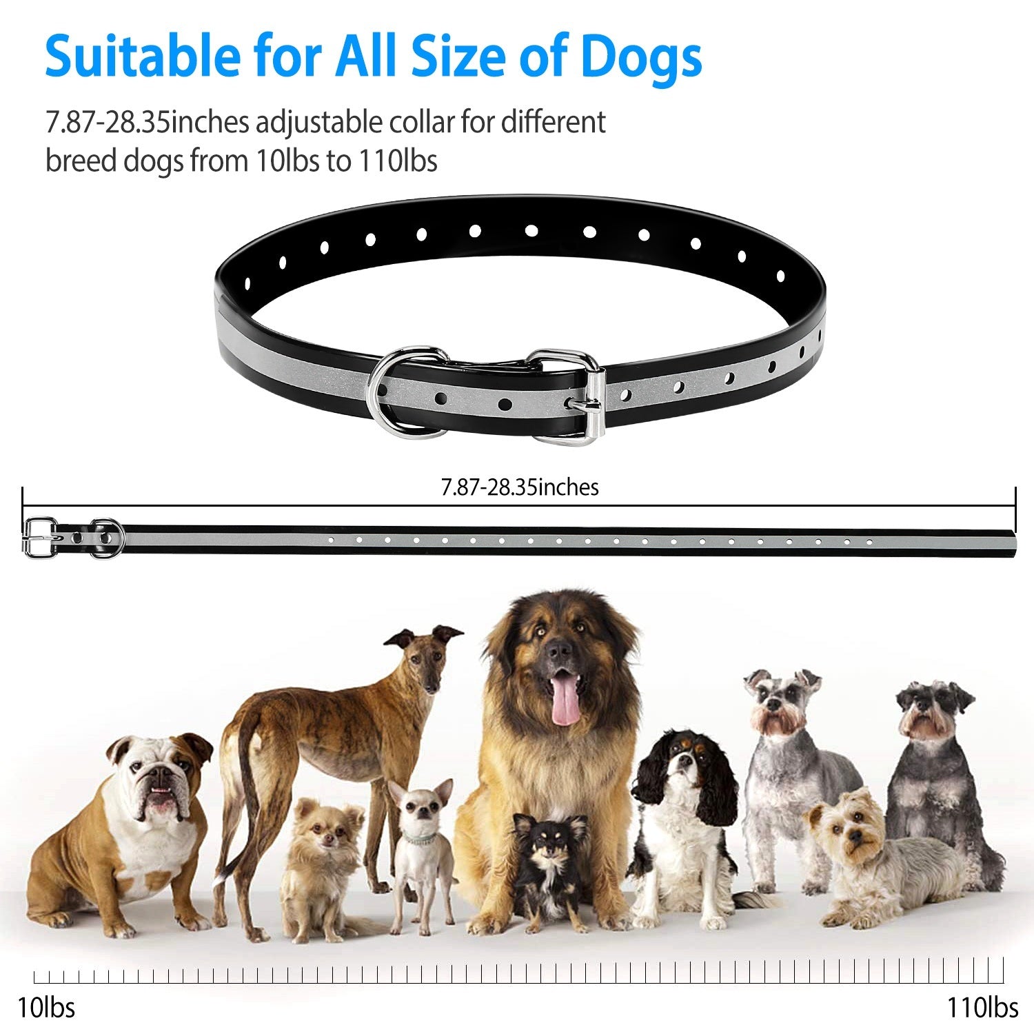 Waterproof Dog Training Collar Remote Control