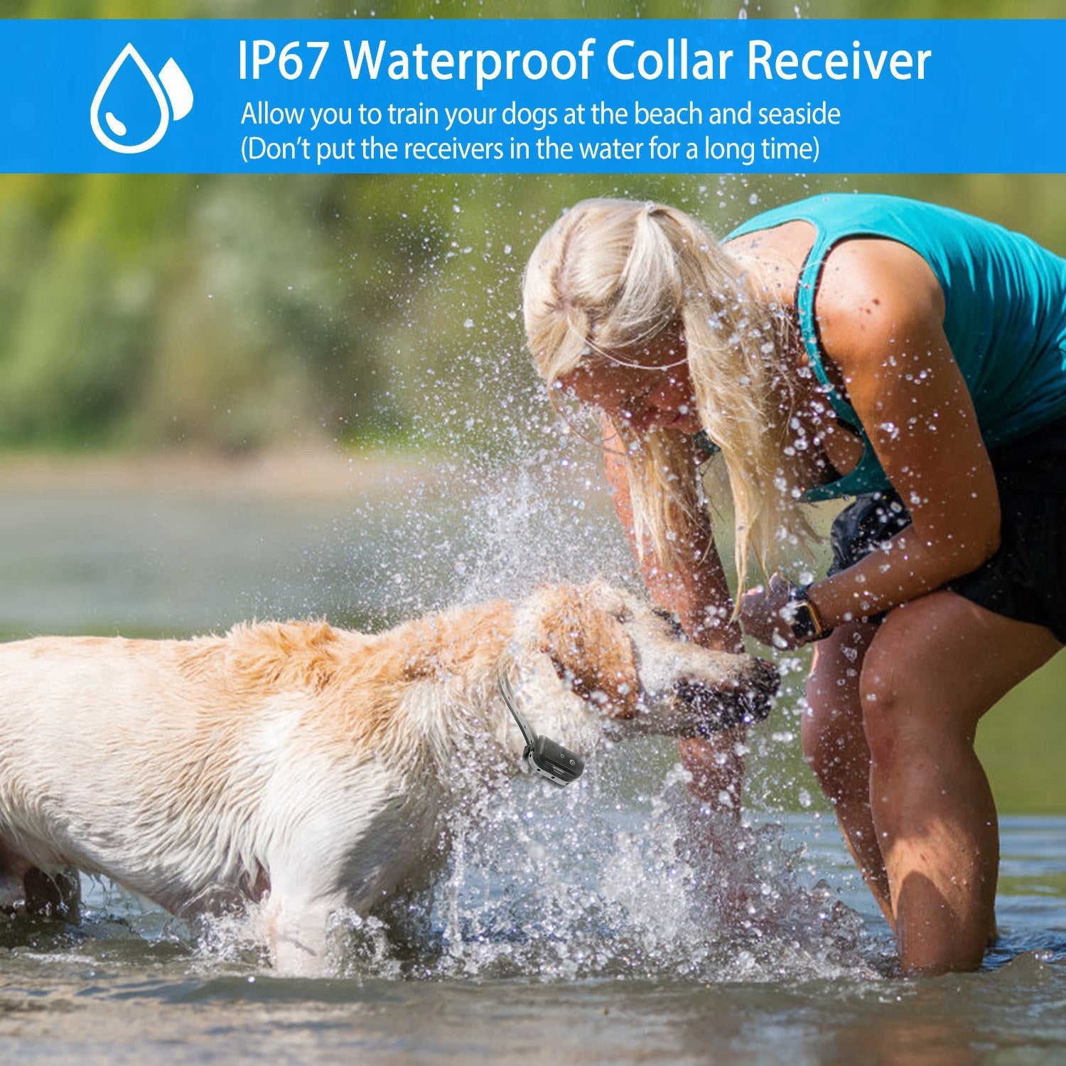 Waterproof Dog Training Collar Remote Control