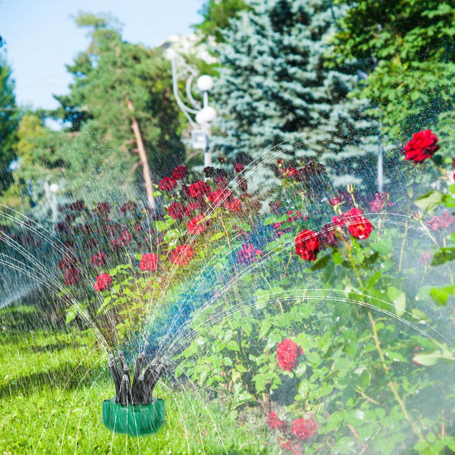 Automatic Lawn Sprinkler