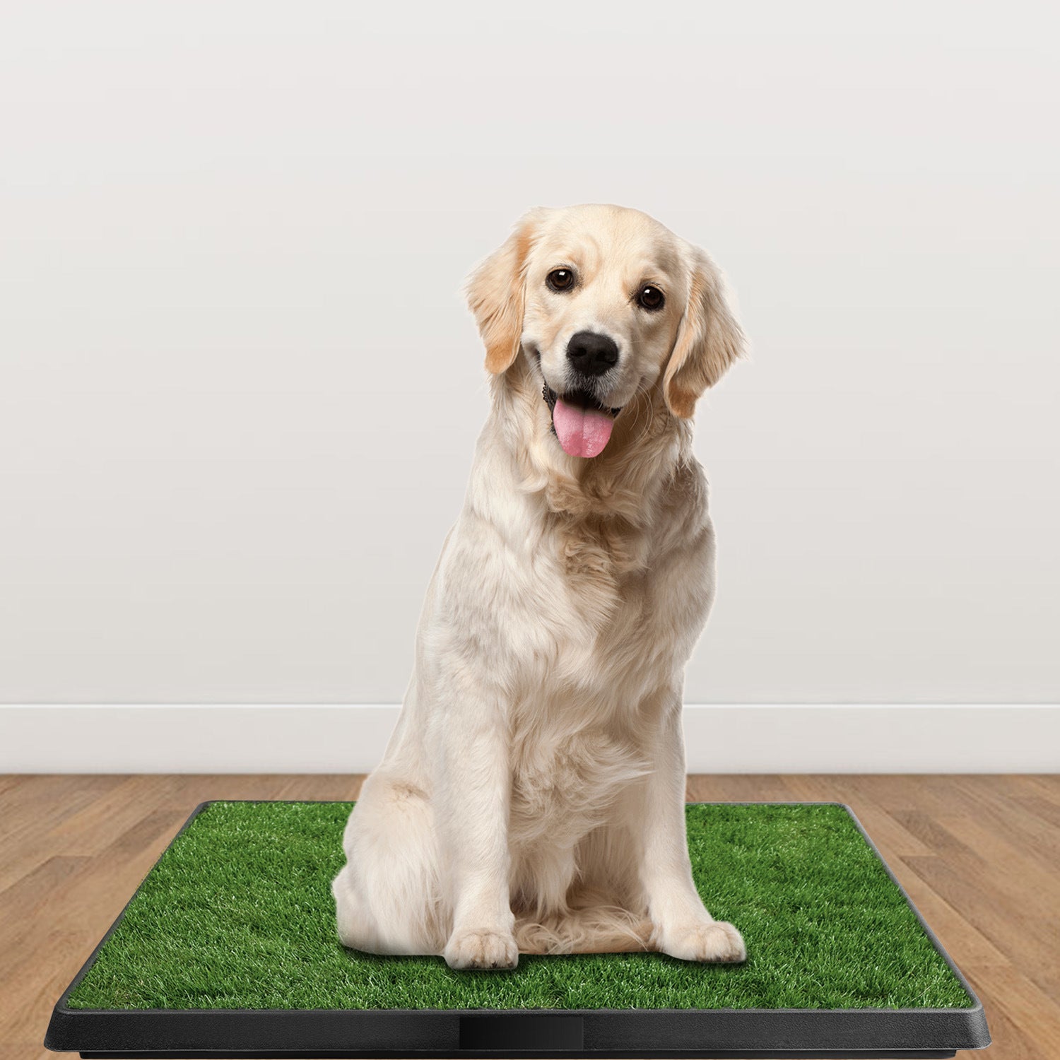 Dog Potty Training Artificial Grass Pad Pet