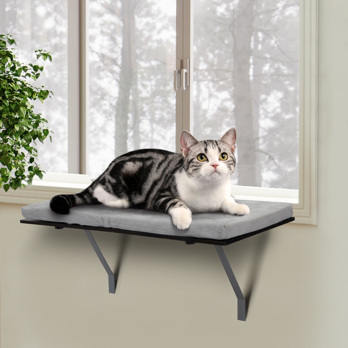 Cat Perch Window Mounted Shelf Bed with Velvet Cushion for Rest, Black Gray XH